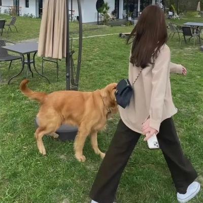 古巴浪人