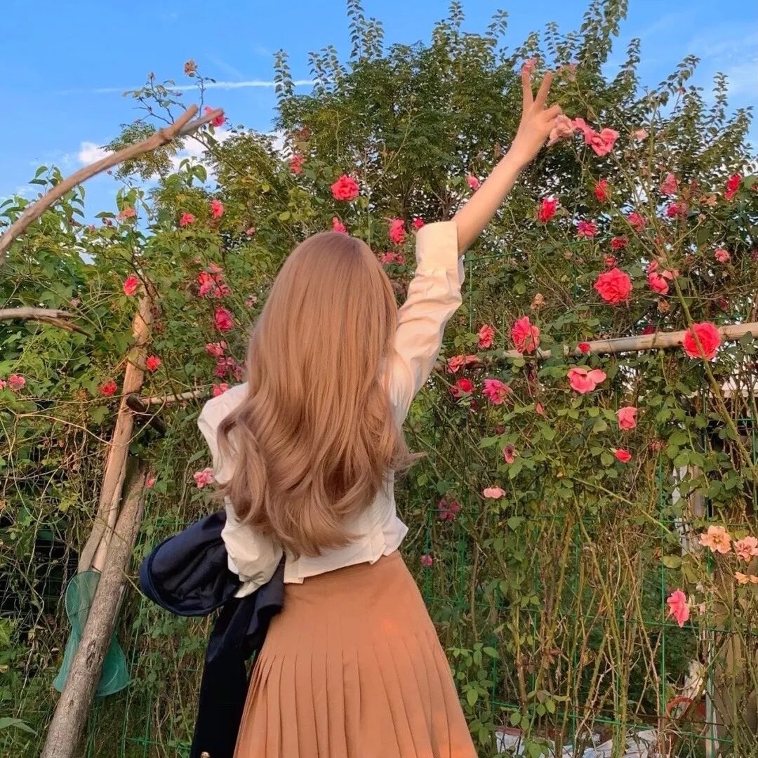 普罗旺斯的夏天